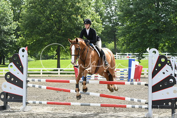 HSM_4275
