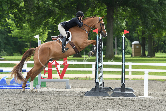 HSM_4276