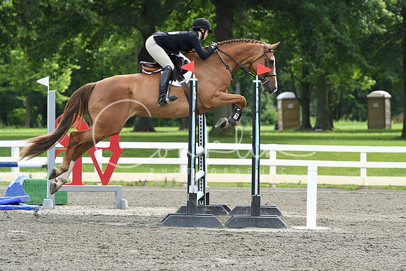 HSM_4277