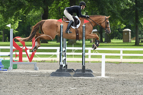 HSM_4278