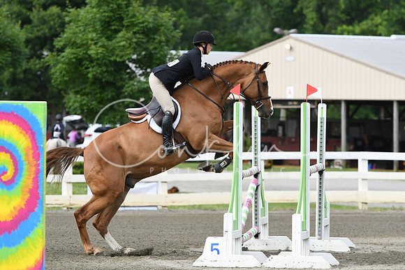 HSM_4290