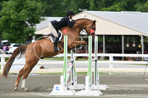 HSM_4291