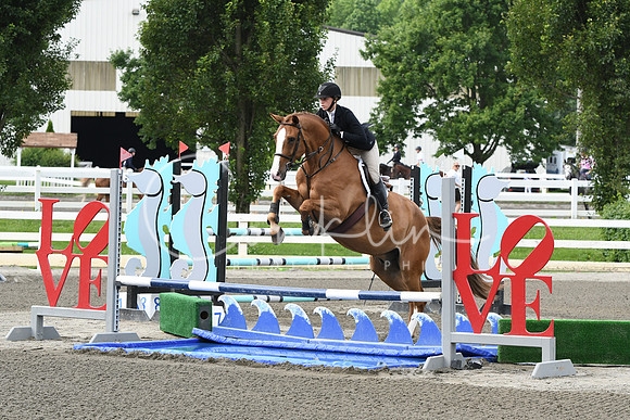 HSM_4293