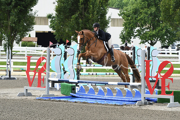 HSM_4294