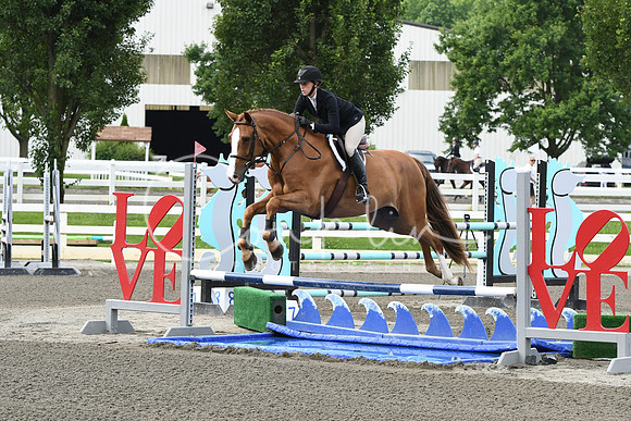 HSM_4295