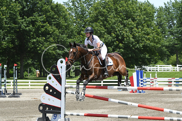 HSM_3172