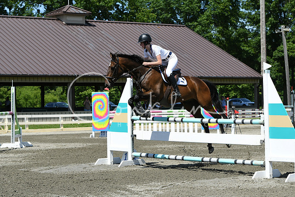 HSM_3474