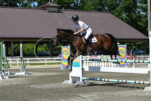 HSM_3475