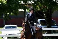 HSM_0731