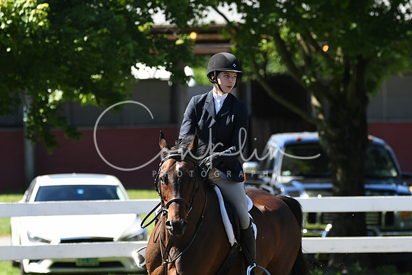 HSM_0731