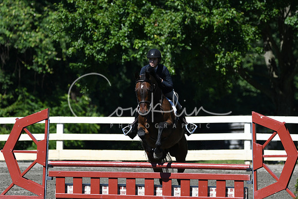 HSM_0733
