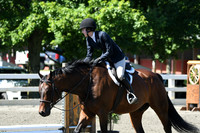 HSM_0737