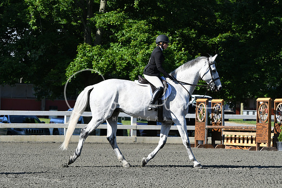 HSM_0246