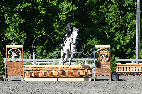 HSM_0251