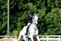 HSM_0253