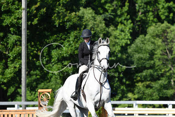HSM_0253