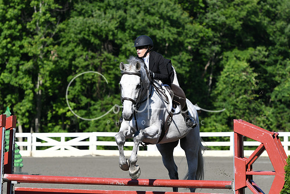 HSM_0263