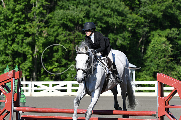 HSM_0264