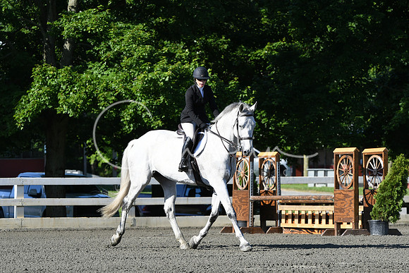 HSM_0265