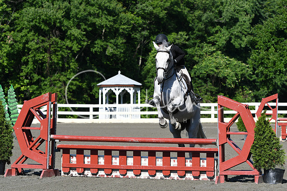 HSM_0329