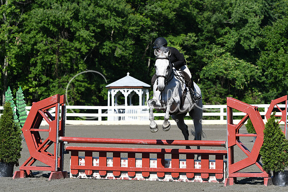 HSM_0330