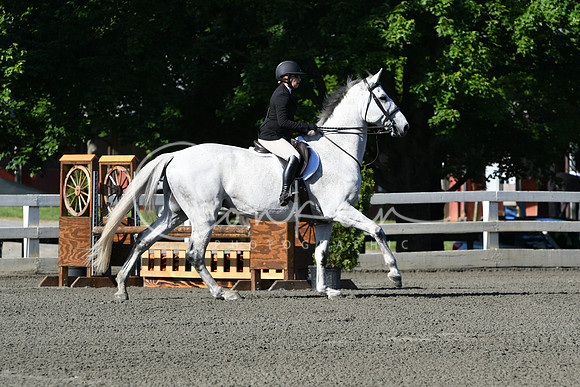 HSM_0333