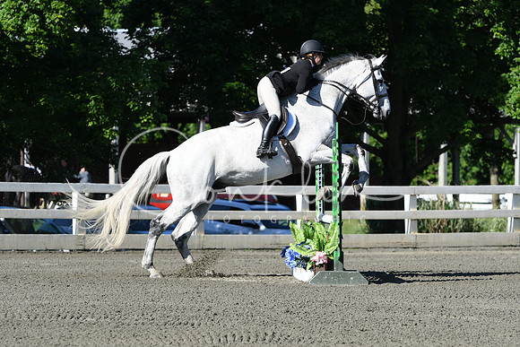 HSM_0334