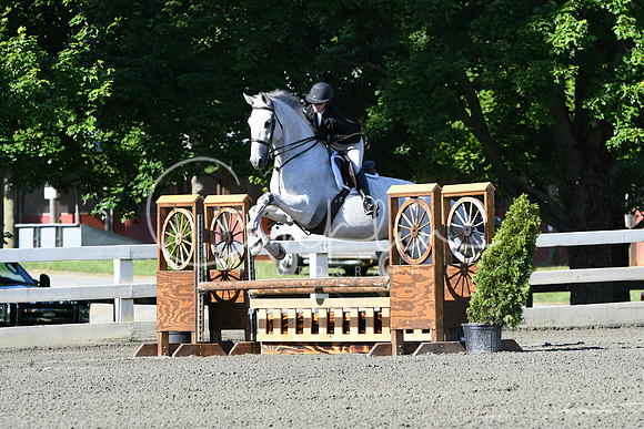 HSM_0336