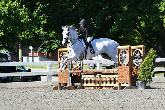 HSM_0337