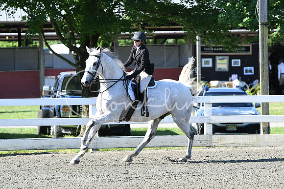 HSM_0338