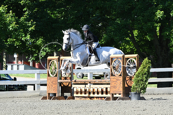 HSM_0411