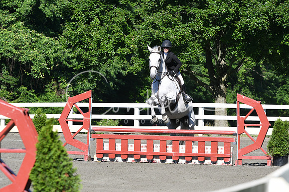 HSM_0412