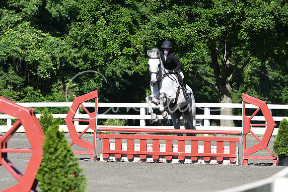 HSM_0413