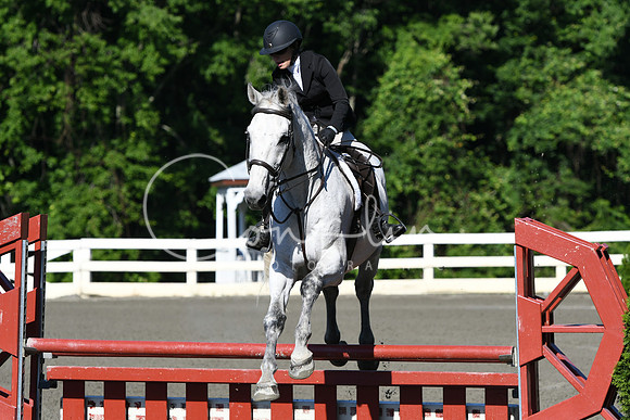 HSM_0415