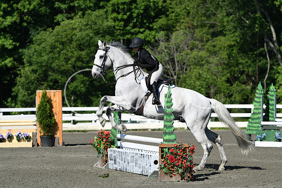HSM_0475