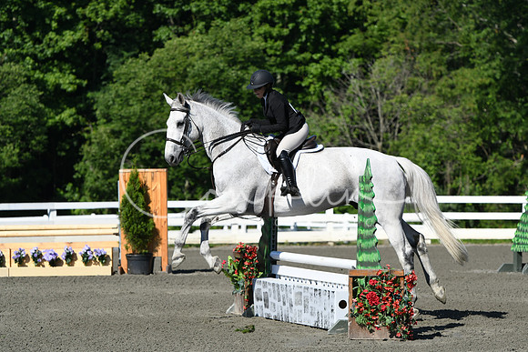 HSM_0476