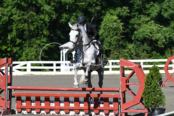 HSM_0480