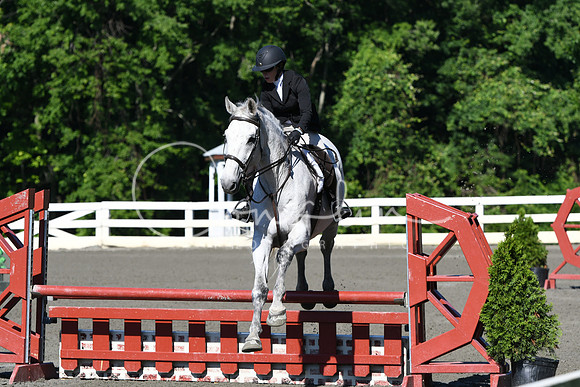 HSM_0481