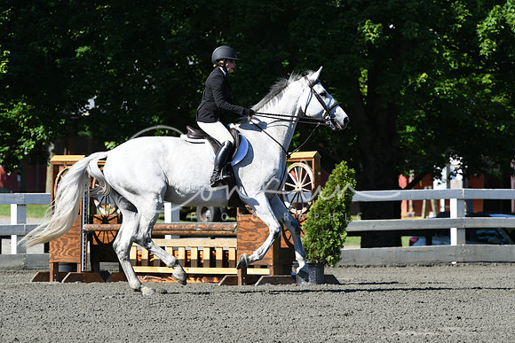 HSM_0482