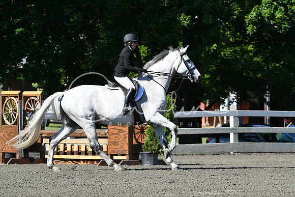 HSM_0483