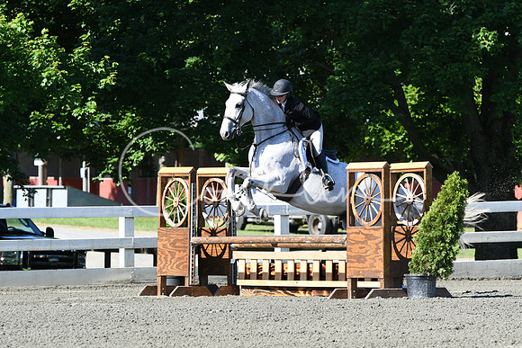 HSM_0486