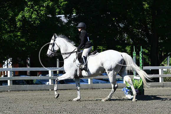 HSM_0493