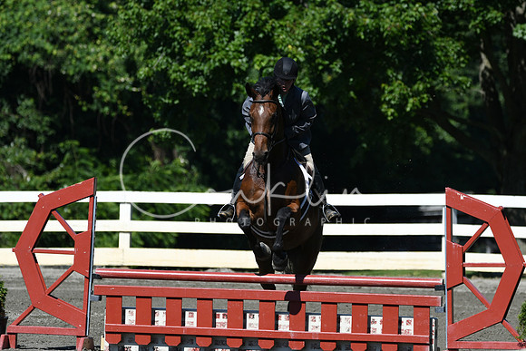 HSM_0652