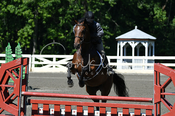 HSM_0654