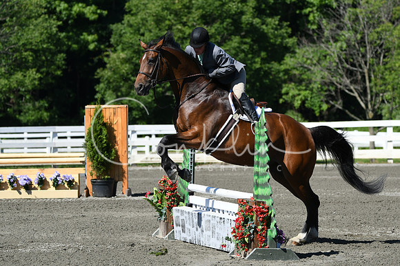 HSM_0664