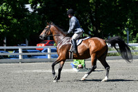 HSM_0666
