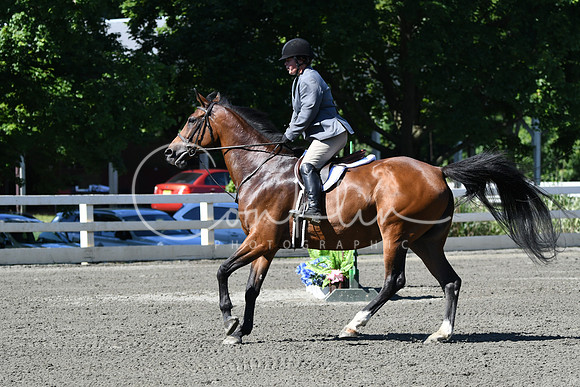 HSM_0666