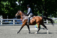 HSM_0667
