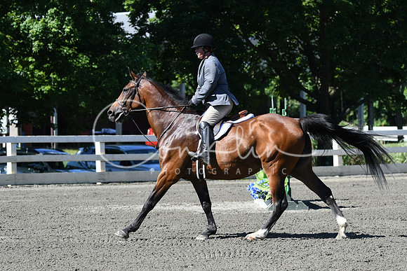 HSM_0667