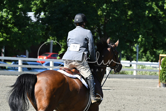 HSM_0668
